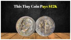 This 1989 Roosevelt Dime Without a Mint Mark Is Worth $12,000 – Still in Circulation!